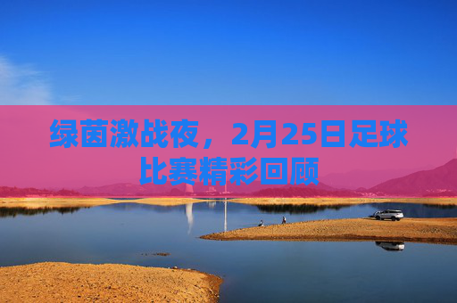 绿茵激战夜，2月25日足球比赛精彩回顾