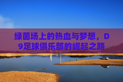 绿茵场上的热血与梦想,D9足球俱乐部的崛起之路