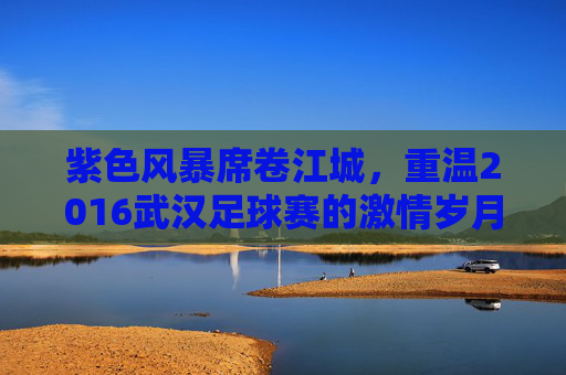 紫色风暴席卷江城，重温2016武汉足球赛的激情岁月