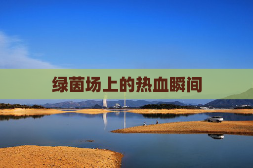 绿茵场上的热血瞬间