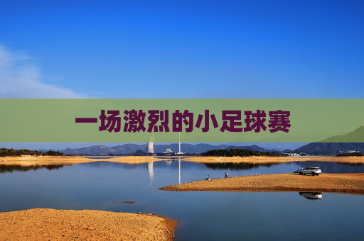 一场激烈的小足球赛