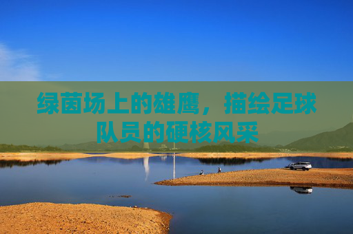 绿茵场上的雄鹰,描绘足球队员的硬核风采