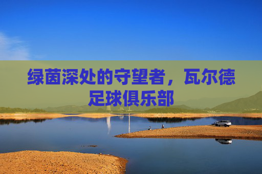绿茵深处的守望者，瓦尔德足球俱乐部