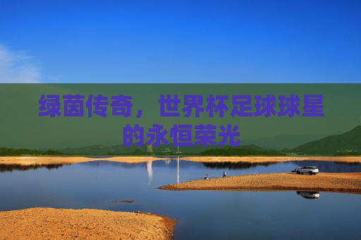 绿茵传奇,世界杯足球球星的永恒荣光