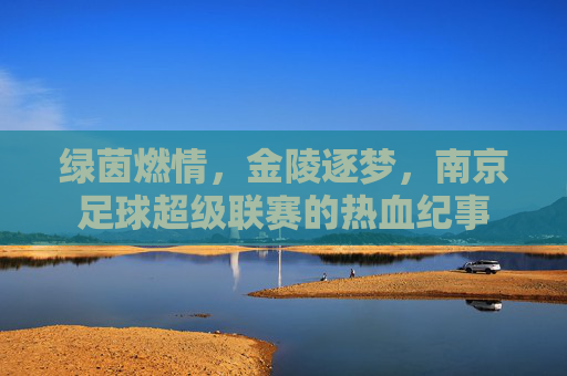 绿茵燃情,金陵逐梦,南京足球超级联赛的热血纪事