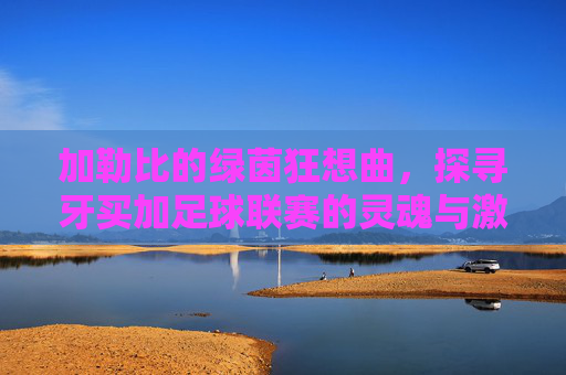 加勒比的绿茵狂想曲,探寻牙买加足球联赛的灵魂与激情