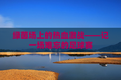 绿茵场上的热血激战——记一场难忘的足球赛