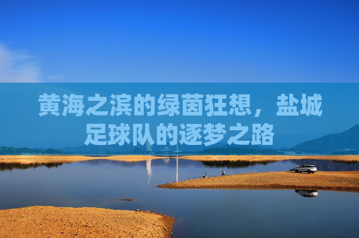 黄海之滨的绿茵狂想,盐城足球队的逐梦之路