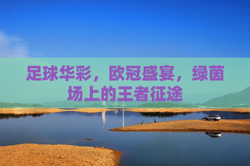 足球华彩,欧冠盛宴,绿茵场上的王者征途