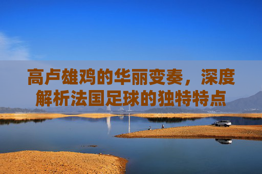 高卢雄鸡的华丽变奏，深度解析法国足球的独特特点