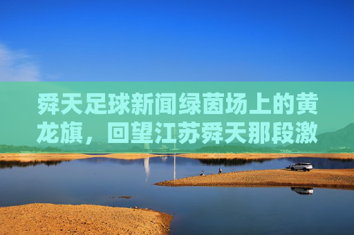 舜天足球新闻绿茵场上的黄龙旗,回望江苏舜天那段激情燃烧的岁月