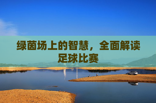 绿茵场上的智慧,全面解读足球比赛