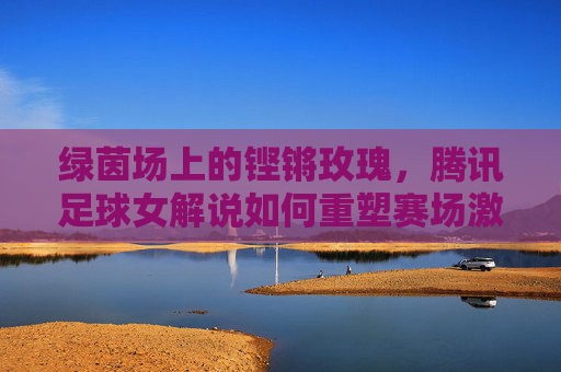 绿茵场上的铿锵玫瑰,腾讯足球女解说如何重塑赛场激情与专业度