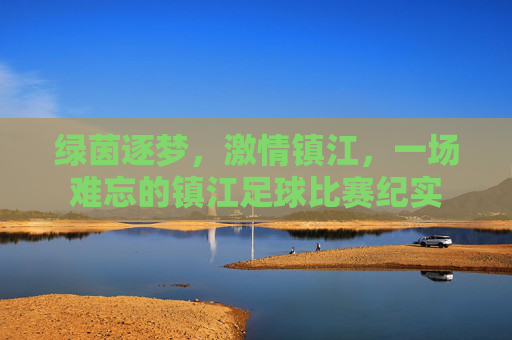 绿茵逐梦,激情镇江,一场难忘的镇江足球比赛纪实