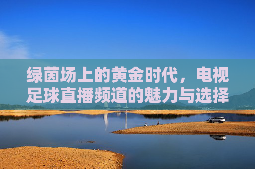 绿茵场上的黄金时代,电视足球直播频道的魅力与选择