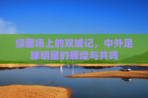 绿茵场上的双城记,中外足球明星的辉煌与共鸣