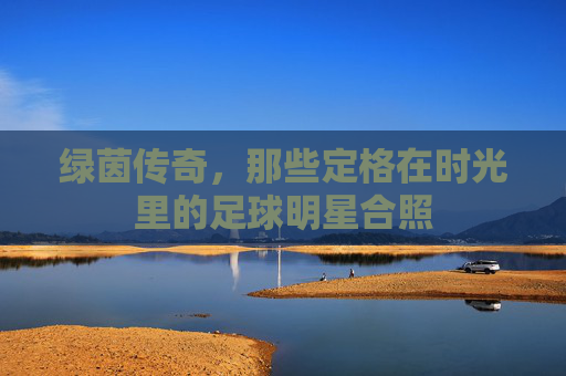 绿茵传奇,那些定格在时光里的足球明星合照