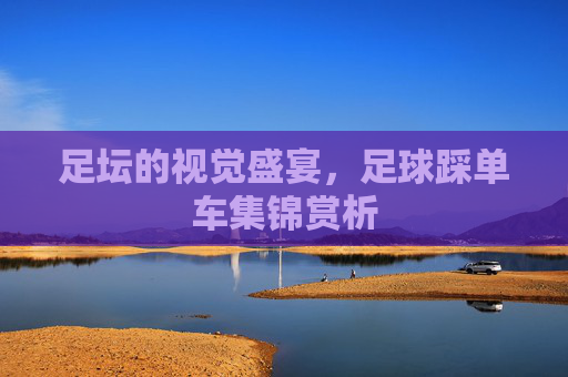 足坛的视觉盛宴,足球踩单车集锦赏析