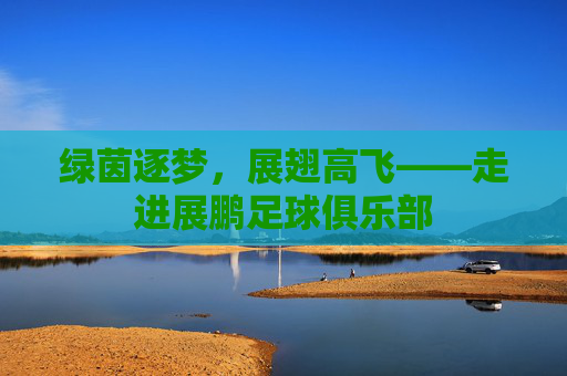 绿茵逐梦,展翅高飞——走进展鹏足球俱乐部