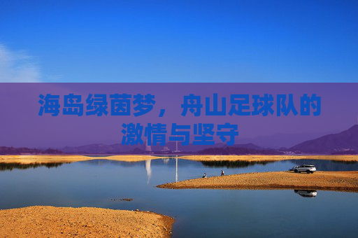 海岛绿茵梦，舟山足球队的激情与坚守