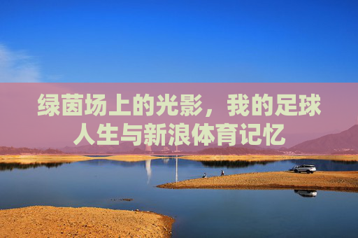 绿茵场上的光影，我的足球人生与新浪体育记忆