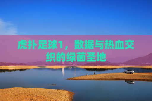 虎扑足球1,数据与热血交织的绿茵圣地