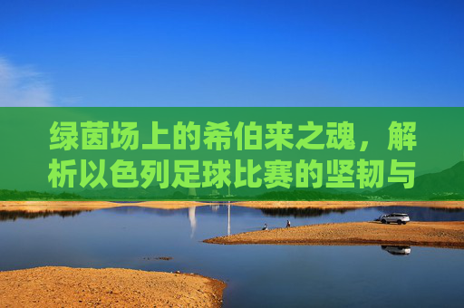 绿茵场上的希伯来之魂,解析以色列足球比赛的坚韧与激情
