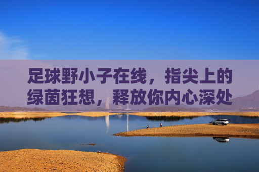 足球野小子在线，指尖上的绿茵狂想，释放你内心深处的野性