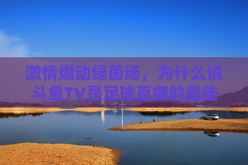 激情燃动绿茵场,为什么说斗鱼TV是足球直播的最佳观赛平台?