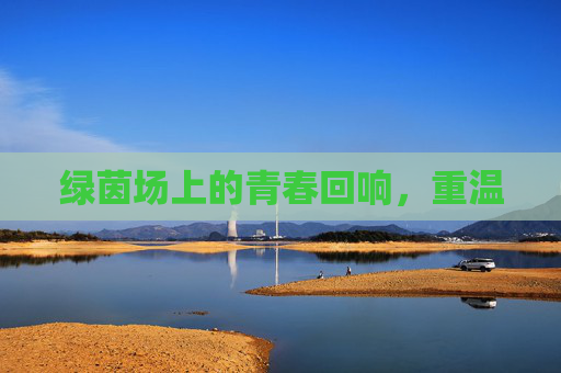 绿茵场上的青春回响,重温