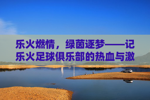 乐火燃情,绿茵逐梦——记乐火足球俱乐部的热血与激情