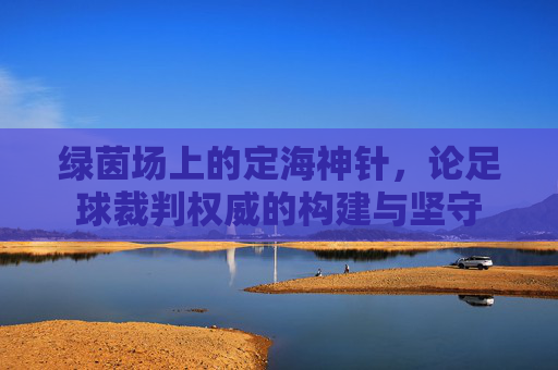 绿茵场上的定海神针,论足球裁判权威的构建与坚守