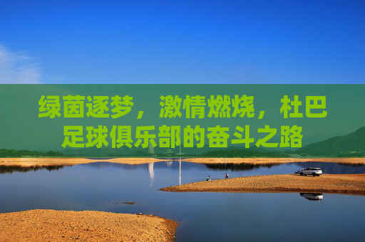 绿茵逐梦，激情燃烧，杜巴足球俱乐部的奋斗之路