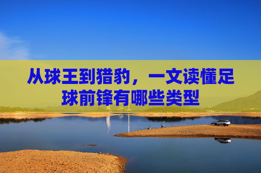 从球王到猎豹,一文读懂足球前锋有哪些类型
