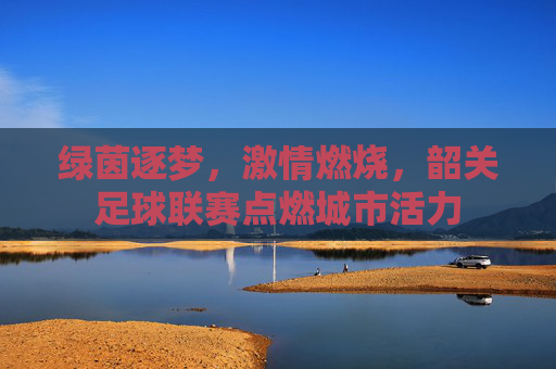 绿茵逐梦，激情燃烧，韶关足球联赛点燃城市活力