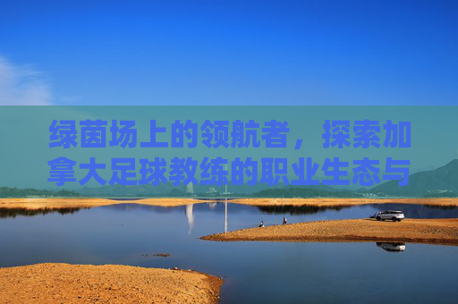 绿茵场上的领航者,探索加拿大足球教练的职业生态与未来