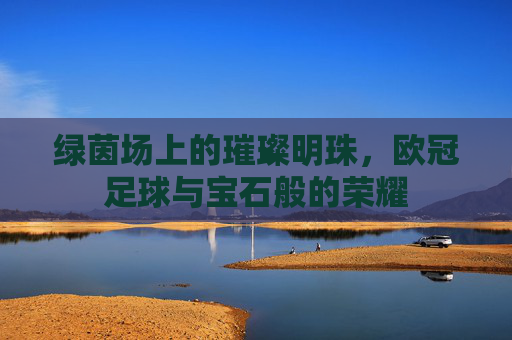 绿茵场上的璀璨明珠,欧冠足球与宝石般的荣耀