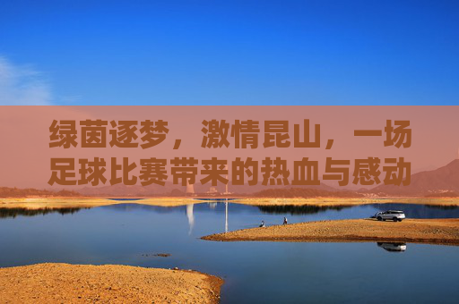 绿茵逐梦,激情昆山,一场足球比赛带来的热血与感动