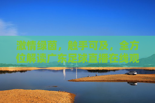 激情绿茵,触手可及,全方位解读广东足球直播在线观赛指南