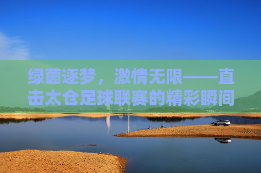 绿茵逐梦,激情无限——直击太仓足球联赛的精彩瞬间