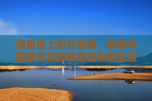 绿茵场上的守望者,致敬中国著名足球教练的执教生涯