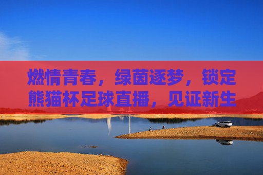 燃情青春,绿茵逐梦,锁定熊猫杯足球直播,见证新生代力量