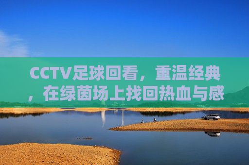 CCTV足球回看,重温经典,在绿茵场上找回热血与感动