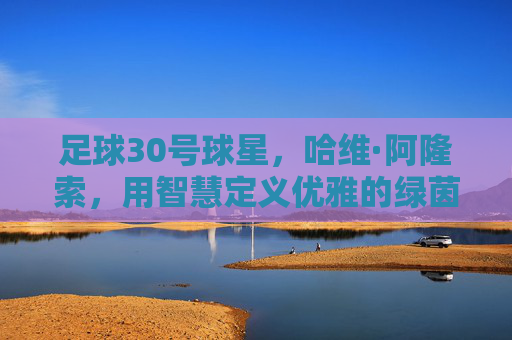 足球30号球星,哈维·阿隆索,用智慧定义优雅的绿茵诗人