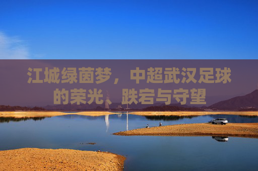 江城绿茵梦,中超武汉足球的荣光、跌宕与守望
