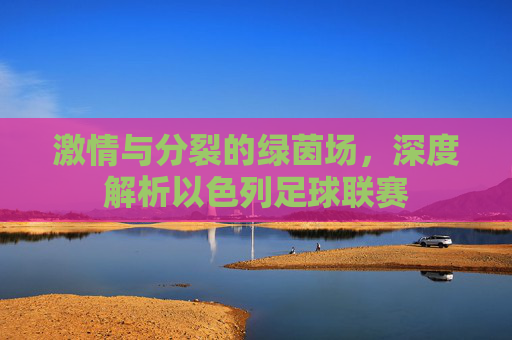 激情与分裂的绿茵场,深度解析以色列足球联赛