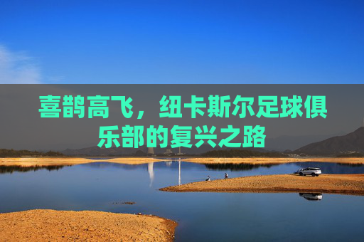 喜鹊高飞,纽卡斯尔足球俱乐部的复兴之路