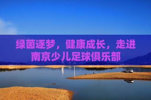 绿茵逐梦,健康成长,走进南京少儿足球俱乐部