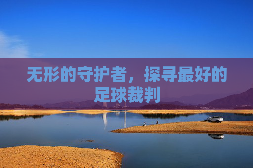 无形的守护者,探寻最好的足球裁判