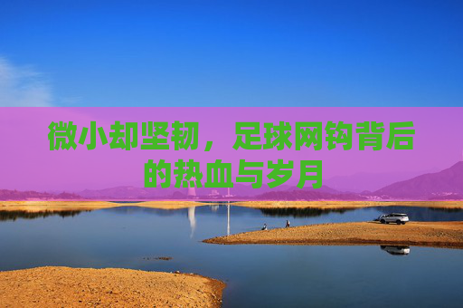 微小却坚韧,足球网钩背后的热血与岁月